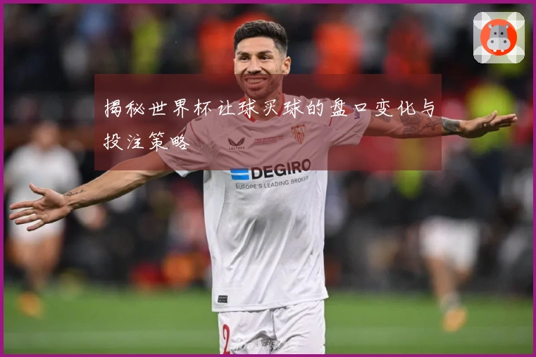揭秘世界杯让球买球的盘口变化与投注策略