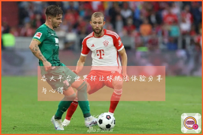 各大平台世界杯让球玩法体验分享与心得