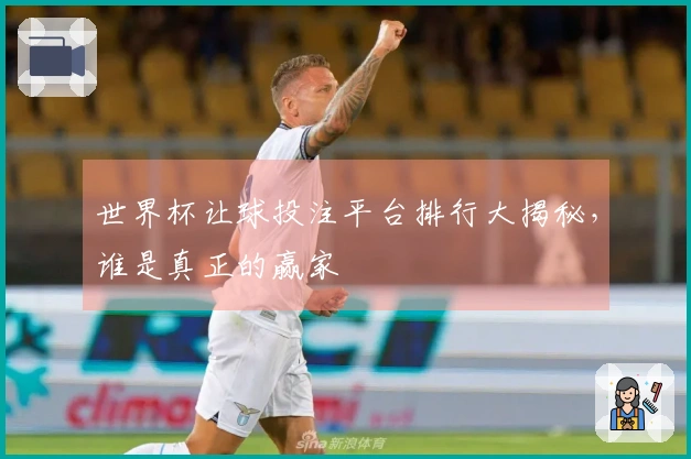 世界杯让球投注平台排行大揭秘，谁是真正的赢家