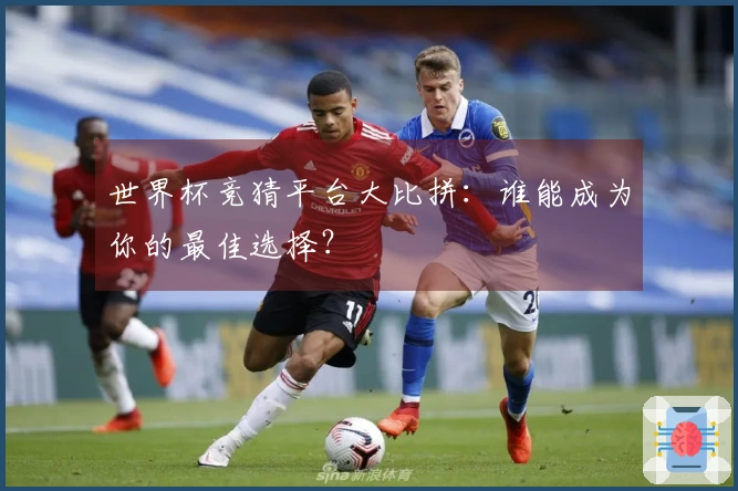 世界杯竞猜平台大比拼：谁能成为你的最佳选择？