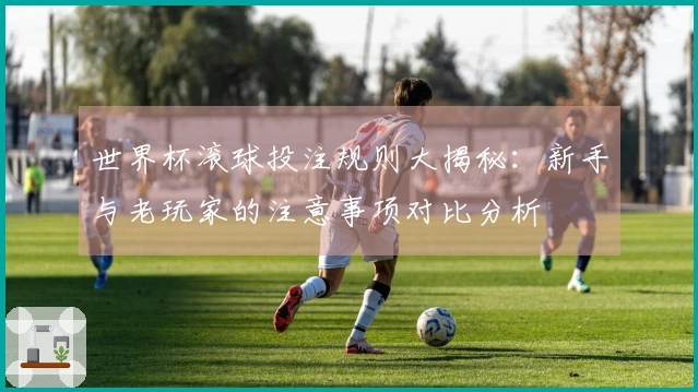 世界杯滚球投注规则大揭秘：新手与老玩家的注意事项对比分析