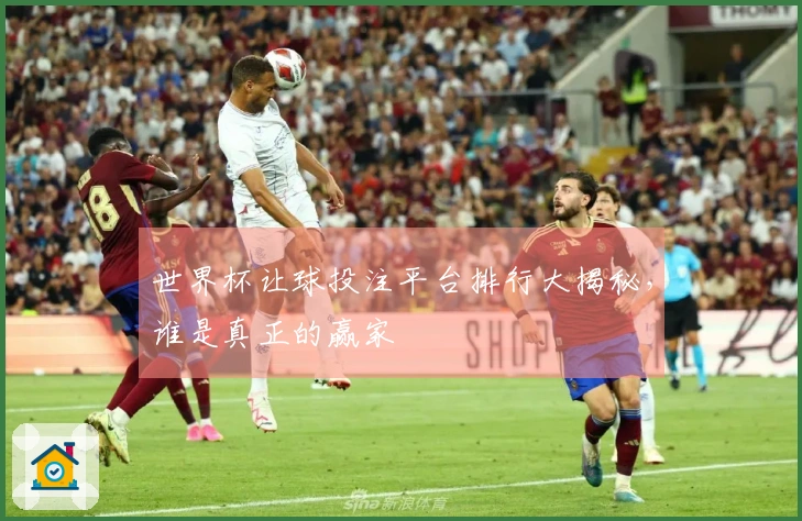 世界杯让球投注平台排行大揭秘，谁是真正的赢家