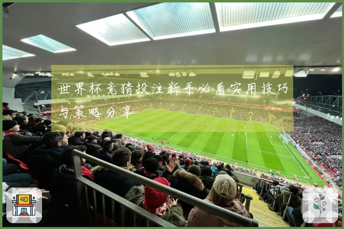 世界杯竞猜投注新手必看实用技巧与策略分享