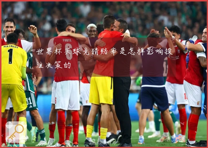 世界杯买球竞猜赔率是怎样影响投注决策的