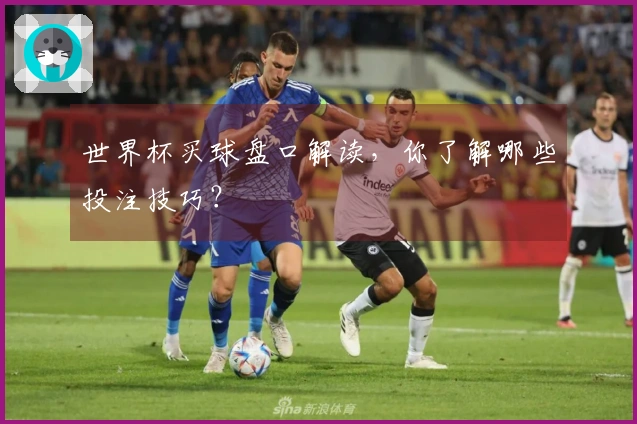 世界杯买球盘口解读，你了解哪些投注技巧？