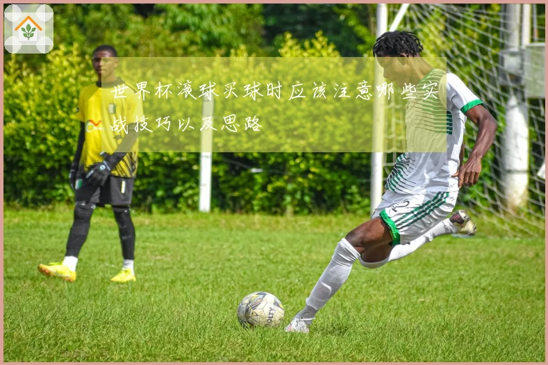 世界杯滚球买球时应该注意哪些实战技巧以及思路