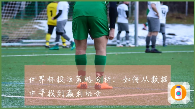 世界杯投注策略分析：如何从数据中寻找到赢利机会