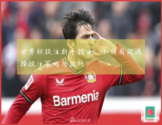 世界杯投注新手指南：如何有效选择投注策略与技巧