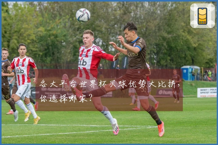 各大平台世界杯买球优势大比拼，你选择哪家？