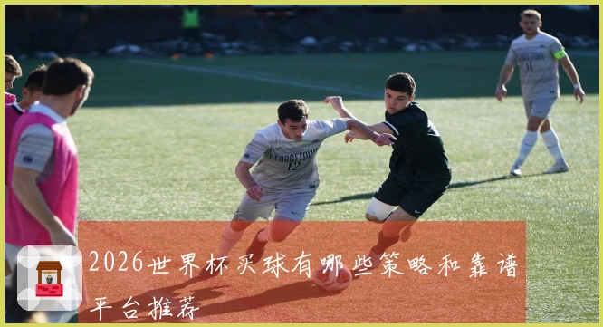 2026世界杯买球有哪些策略和靠谱平台推荐