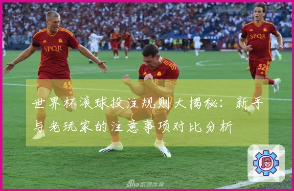 世界杯滚球投注规则大揭秘：新手与老玩家的注意事项对比分析